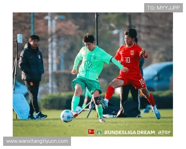 凯发体育的网址查询方法，轻松找到官方最新的访问地址和入口