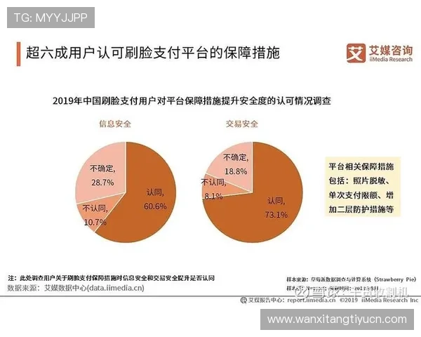 V站官网官方平台介绍，详细解析网站功能、用户注册流程及安全保障措施