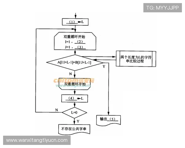 全面解析德朝体育全站登录流程及常见问题解决方案推荐